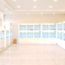 청담펫츠 이미지