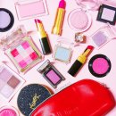 몽슈피스 | [파우치인증] 올해 여름을 시원하게 보내고 싶은 겨울쿨톤 파우치 ( 블러셔 립 섀도우 추천 )