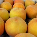 부원농장 이미지