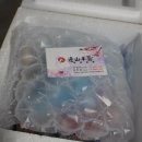 다부회집 | 변산반도횟집 부안맛집 한국인의밥상출연 간장새우 후기!