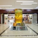 데미샘힐링빌리지 이미지