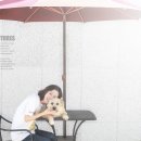 동물사랑애견샵 이미지