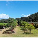 택수목장 이미지