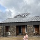 문박 민박 이미지