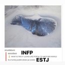 MBTI 밈 모음 2 이미지