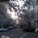 도원중학교 이미지