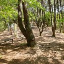 동읍 공설운동장 이미지