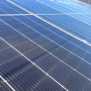 광은농장 이미지