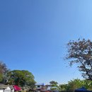 운화농장 이미지