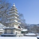 삼국아파트 이미지