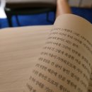 동광농장 | 강원도 정선 에어비앤비 독채숙소 스테이낮달 자연과 함께한 감성촌캉스 가족여행후기