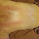 프레셔스카라스킨앤바디