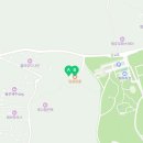 덩굴원법인