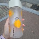 훠위엔 | 8월 중순~9월 초까지의 일상기록들