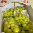 백화반점 이미지