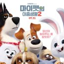마이펫의 이중생활 이미지