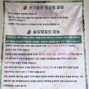 수가솔방 솔잎찜질방 | 평창 24시간 여우재 수가솔방 솔잎 찜질방