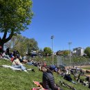 핏츠(PITS) 이미지