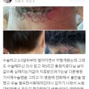 창문외과의원