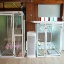 나무애견유치원 이미지