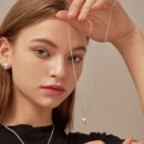 파우파우(PAW PAW) 이미지