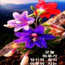 품위(品位) 이미지