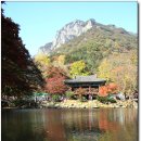 백양사농업협동조합 이미지