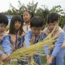 봉의초등학교 병설유치원 이미지