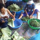 백련농장 이미지