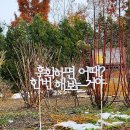 당구사랑 이미지