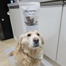 바른멍쿡 이미지