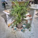 무인52 | 부산대 오프데이헤븐샵 방문 후기, 무인소품샵