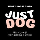 저스트도그 기업도시점 네이버블로그