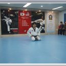 화정태권도 이미지