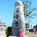 동해바다 소돌항+주문진+연곡해수욕장 서길순 인증샷 보실라요 이미지