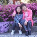 내유초등학교 이미지