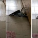 보수2차 봄여름가을겨울 이미지