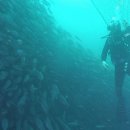 21세기 산업 이미지