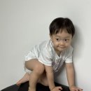 떡보끼마미