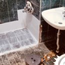 정상파크장 이미지