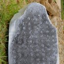 임천대교비 Daum카페