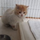 오림4길 이미지