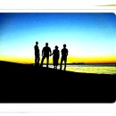 타프 태양광발전소 이미지