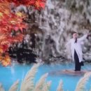 서호(여) Daum카페