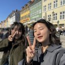 코코미떼