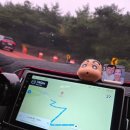 아스타축제 | 2025.09.20 거창 아스타국화 축제 후기+거창맛집'곤드레찜드레'