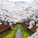 남북카써비스 이미지