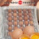 장락농장 이미지