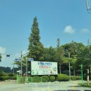 회산백련지 | 무안 회산백련지 8월 산책 후기 백련카페가 오아시스였다