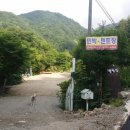 엄나무민박 이미지